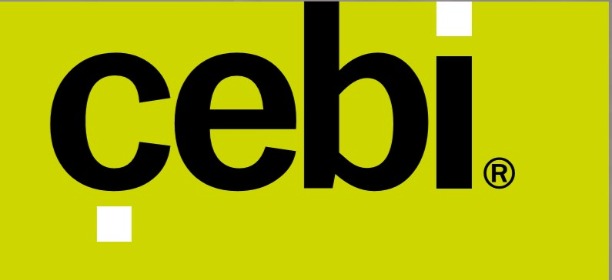 Cebi A S Bolge Satis Yoneticisi Is Ilani Kariyer Net