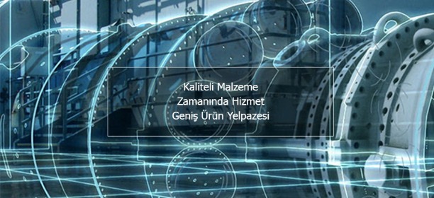 kariyer net