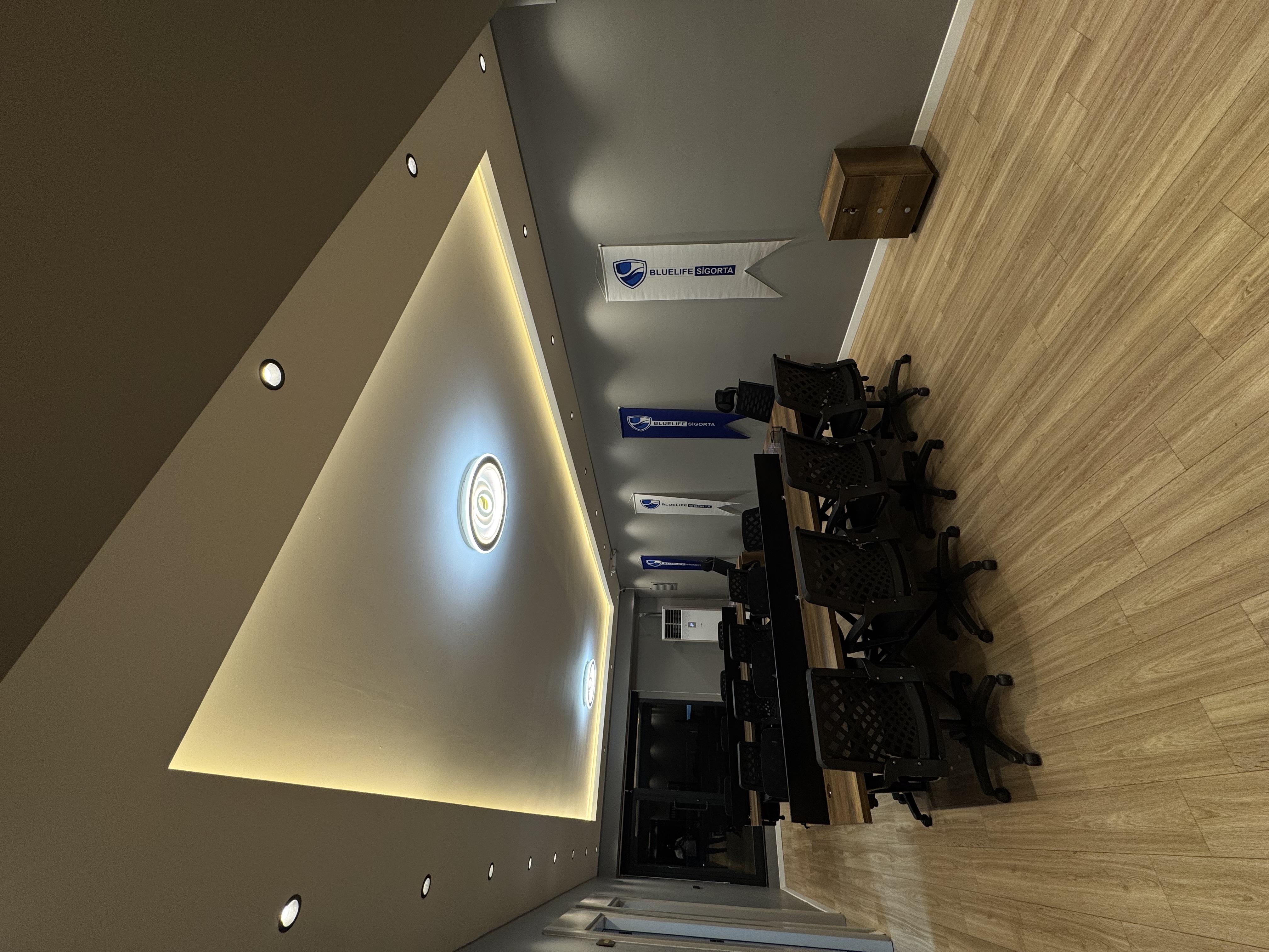 Bluelife Sigorta Aracılık Hizmetleri  Şirket Hayatı