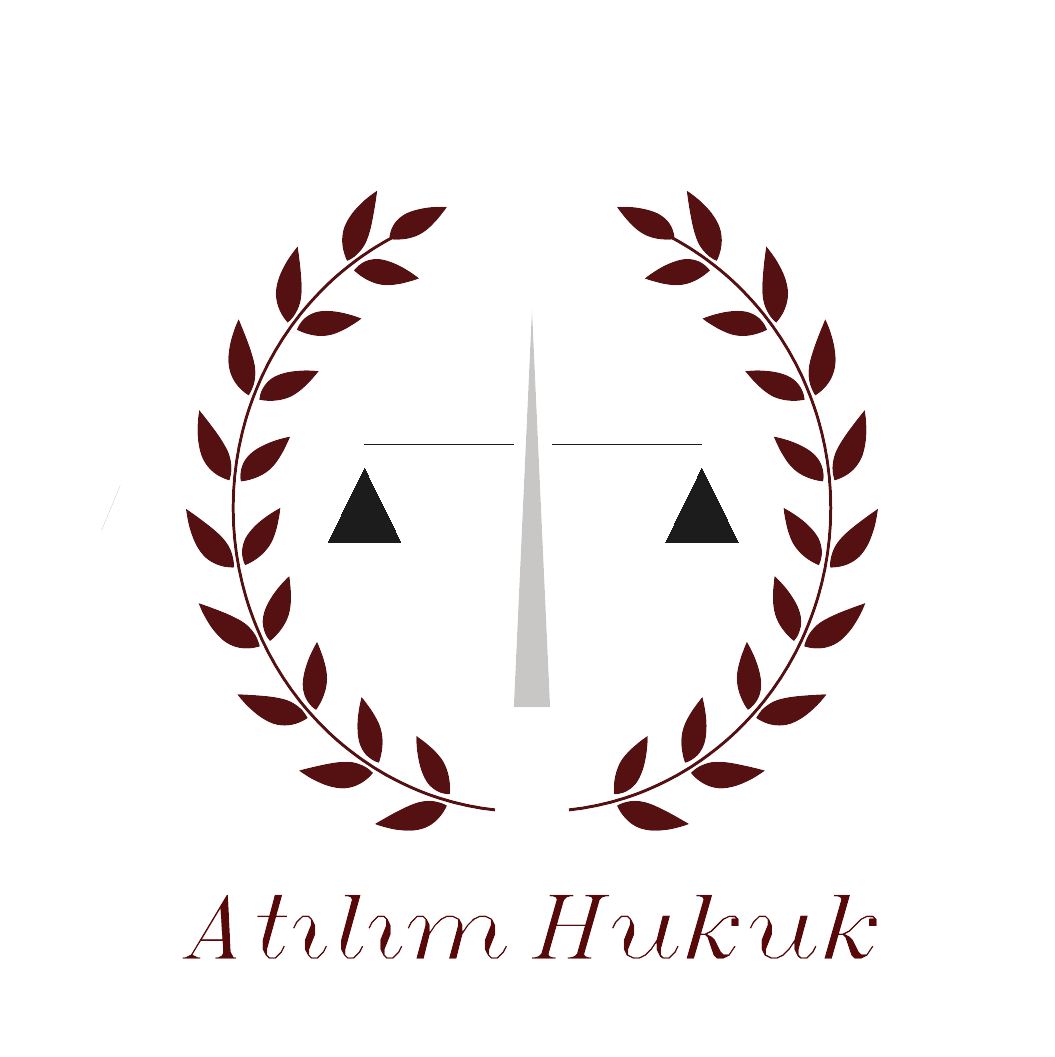 İsmail Akkuş Şirket Hayatı