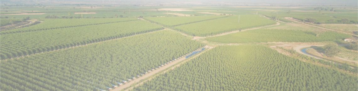 Aep Anadolu Etap Penkon Gıda ve Tarım Ürünleri Sanayi ve Ticaret A. Ş