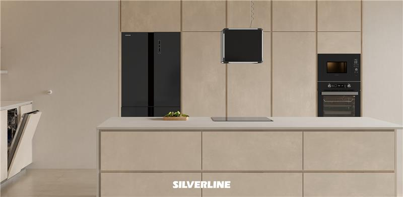 Silverline Şirket Hayatı
