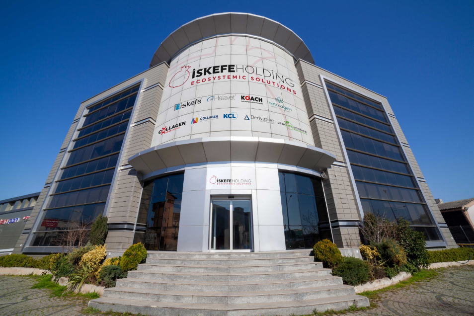 İskefe Holding Anonim Şirketi Şirket Hayatı