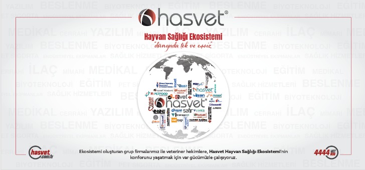 Kariyer Image