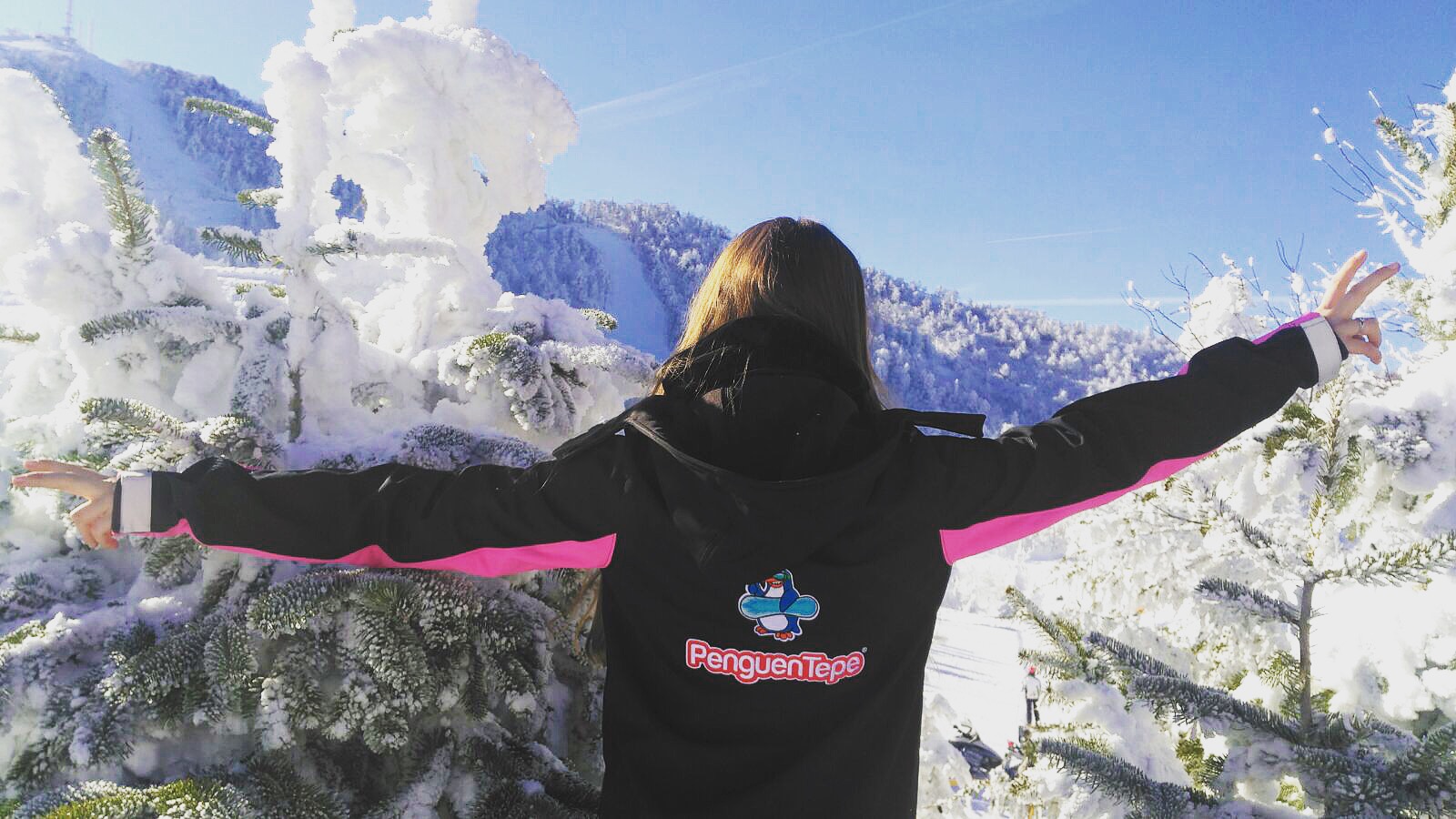 Penguentepe Turizm ve Spor Hizmetleri Ltd.şti Şirket Hayatı