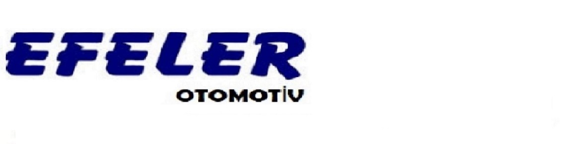 Efeler Otomotiv Şirket Fotoğrafı