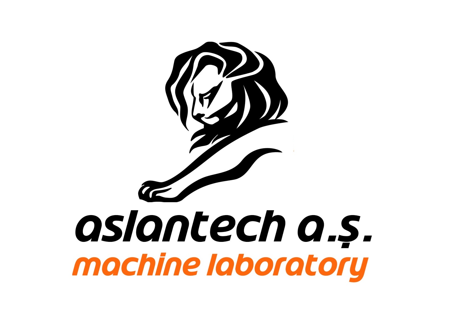 Aslantech Makina Sanayi ve Ticaret Anonim Şirketi Şirket Hayatı