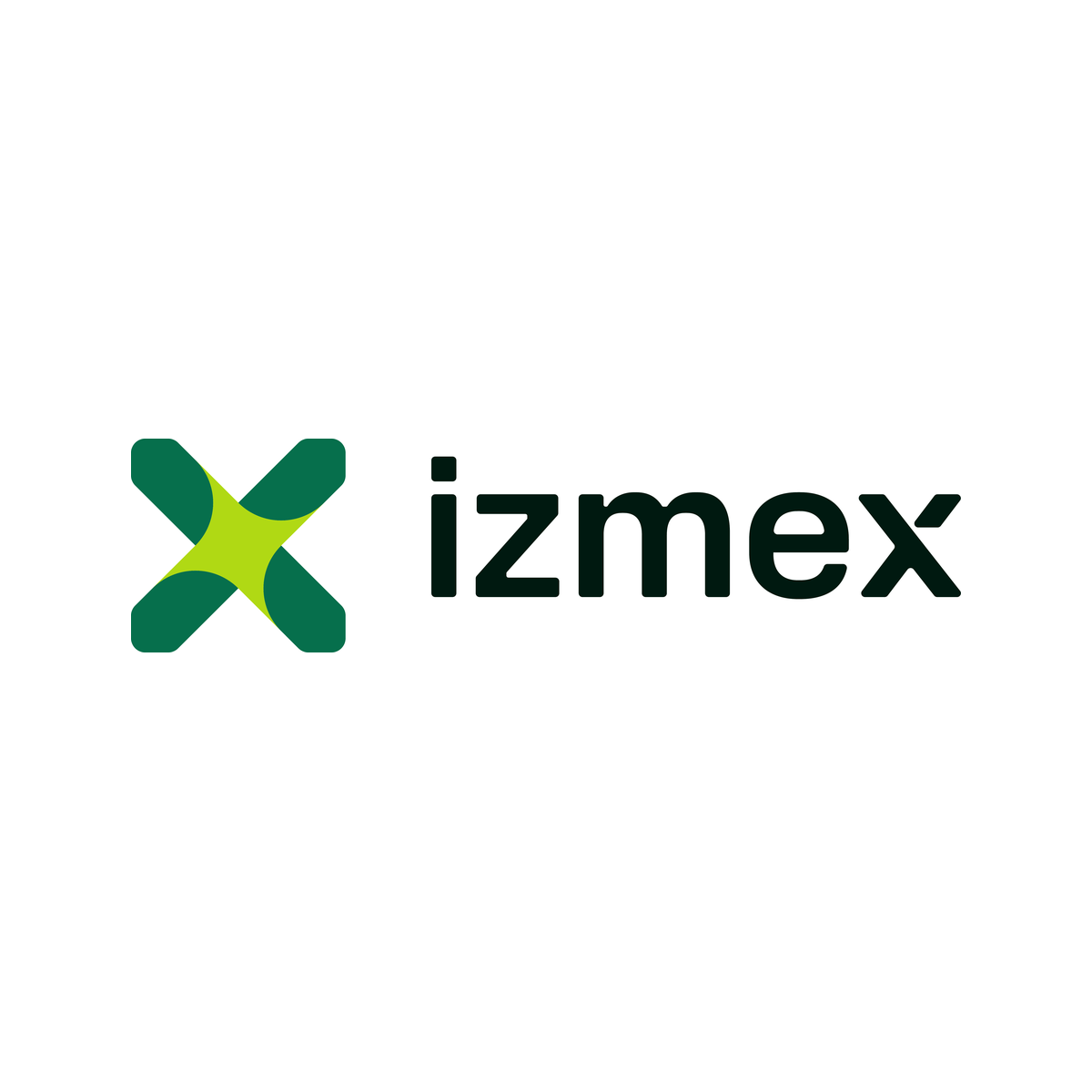 İzmex Şirket Hayatı