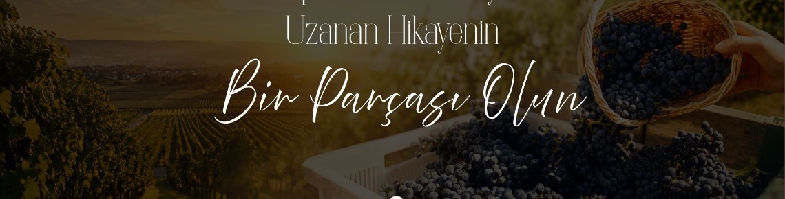 Asmadan Tarım Ürünleri ve Bağcılık Şirket Fotoğrafı