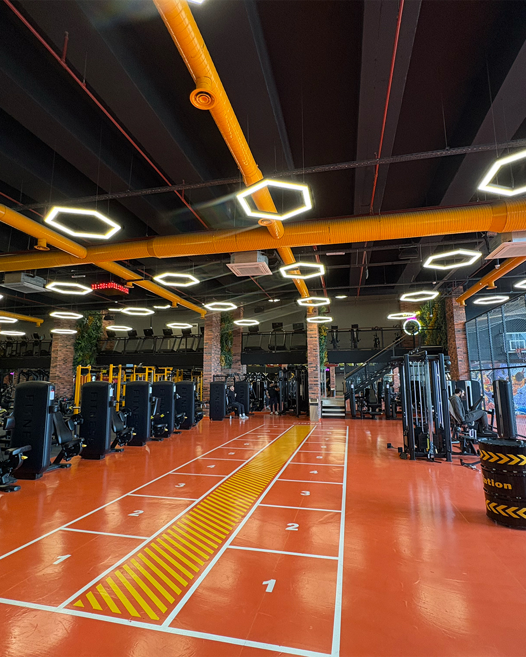 Fit Station Şirket Hayatı