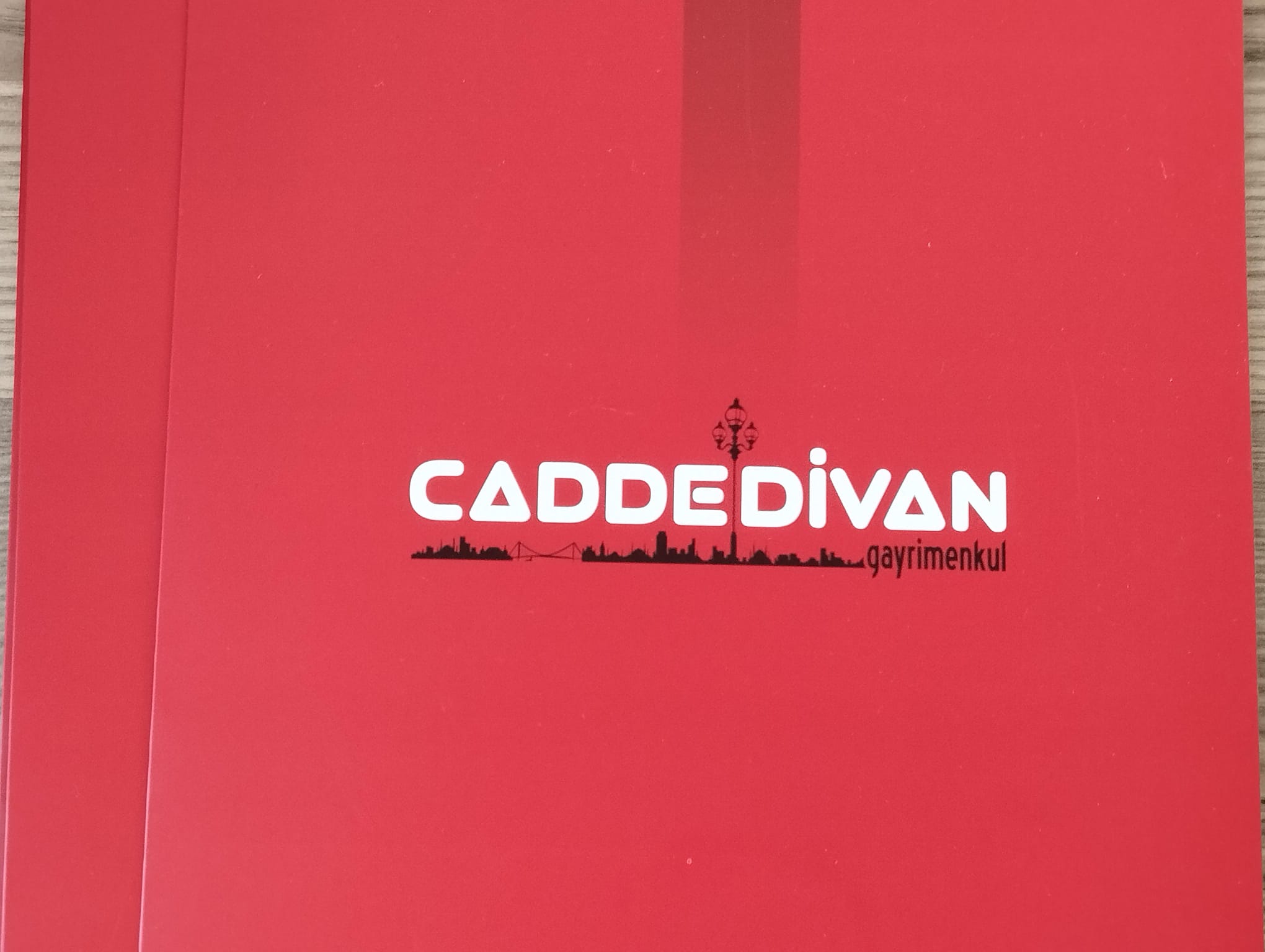 Işıl Setenay Özen Cadde Divan Gayrimenkul Şirket Hayatı