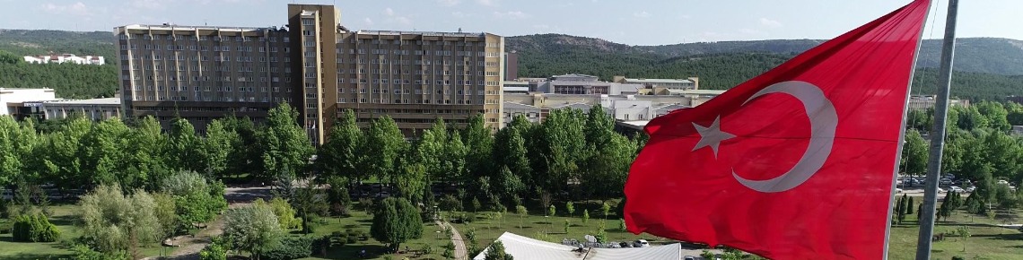 Eskişehir Osmangazi Üniversitesi
