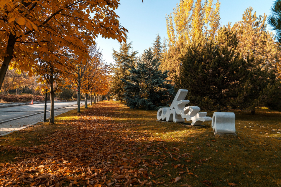 Ankara Üniversitesi Kampüs