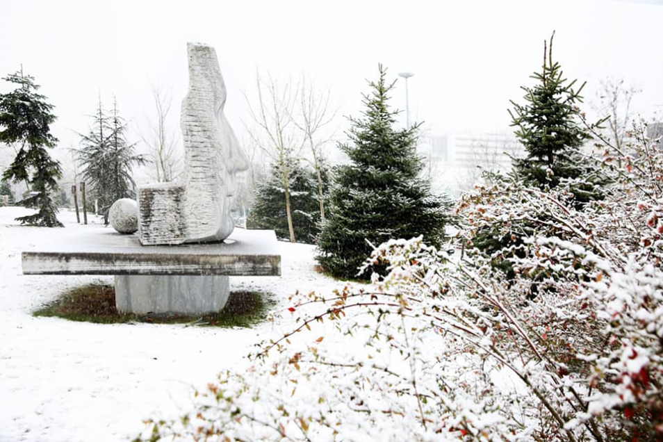 Kocaeli Üniversitesi Kampüs