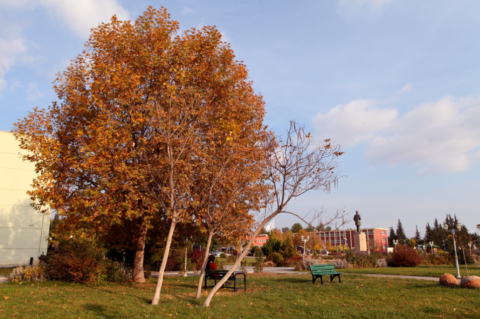 Adıyaman Üniversitesi Kampüs