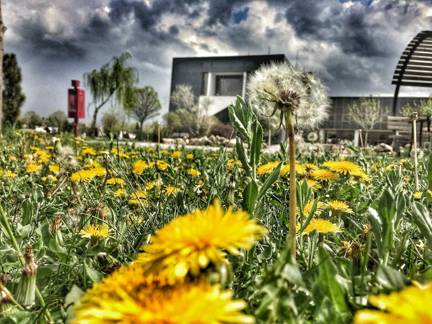 Afyon Kocatepe Üniversitesi Kampüs