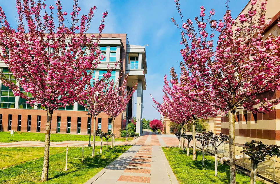 Eskişehir Osmangazi Üniversitesi Kampüs