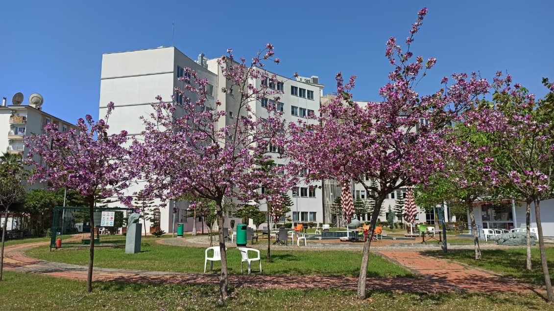 Alanya Üniversitesi Kampüs