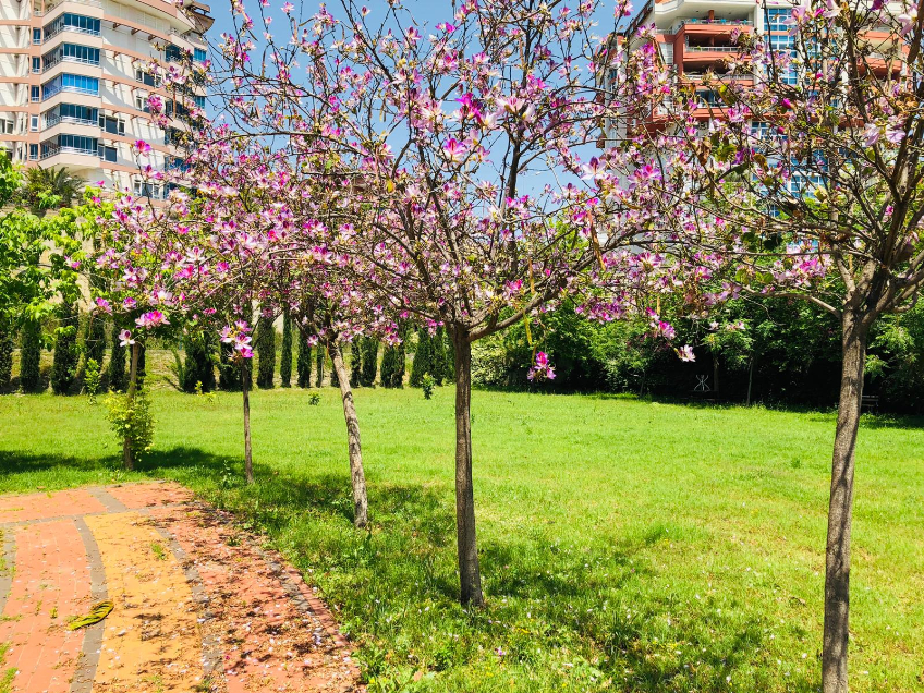 Alanya Üniversitesi Kampüs
