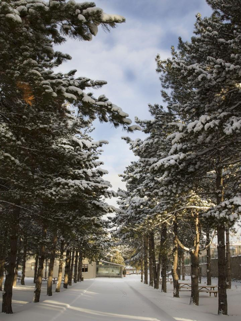 Kapadokya Üniversitesi Kampüs