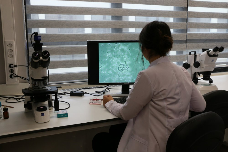 Konya Gıda ve Tarım Üniversitesi Kampüs