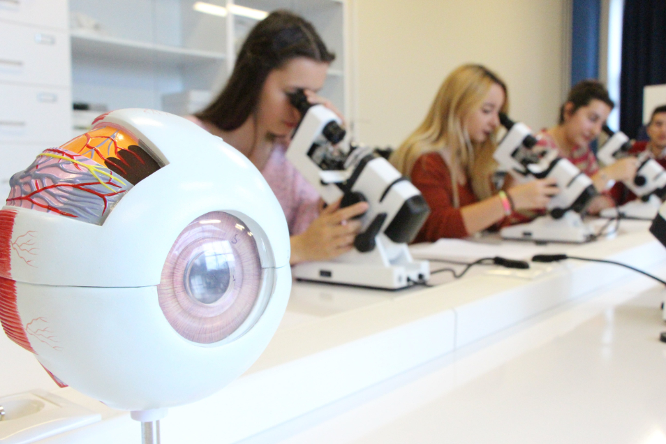 İstanbul Okan Üniversitesi Kampüs