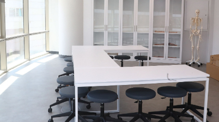 Fenerbahçe Üniversitesi Kampüs