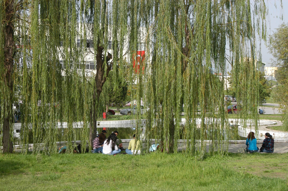 Bursa Uludağ Üniversitesi Kampüs