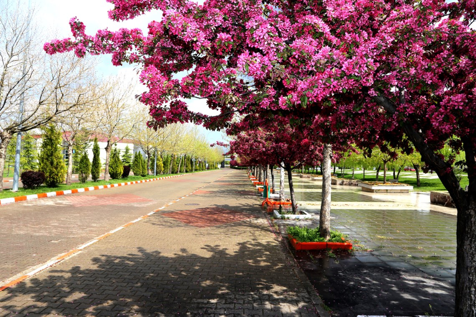 Bingöl Üniversitesi Kampüs