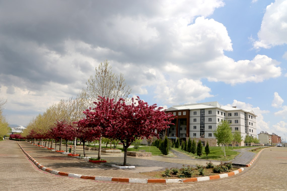 Bingöl Üniversitesi Kampüs