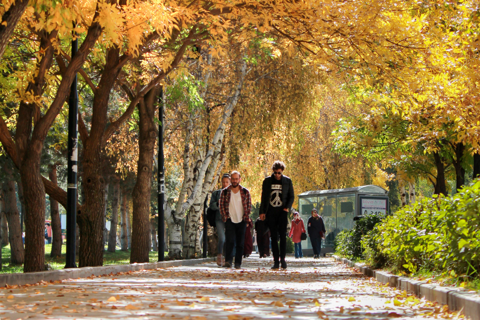 Atatürk Üniversitesi Kampüs