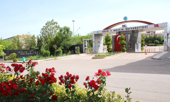 kariyer net