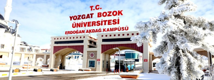 kariyer net