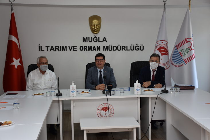 mugla sitki kocman universitesi kariyer net