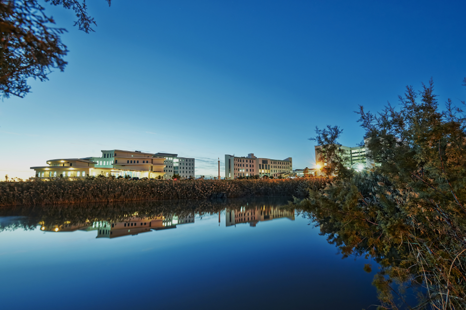 Yakın Doğu Üniversitesi Kampüs