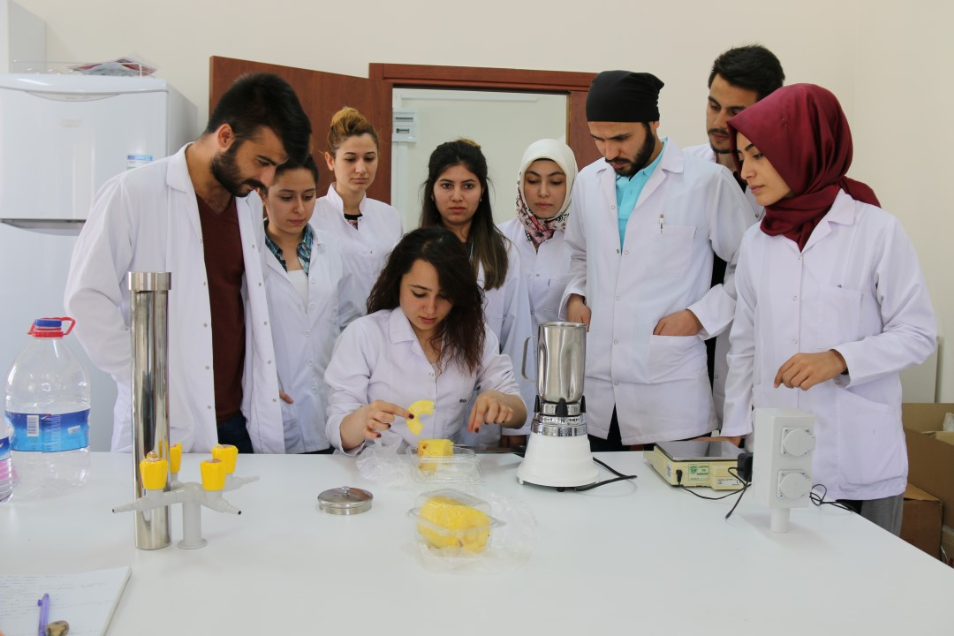Nevşehir Hacı Bektaş Veli Üniversitesi Kampüs