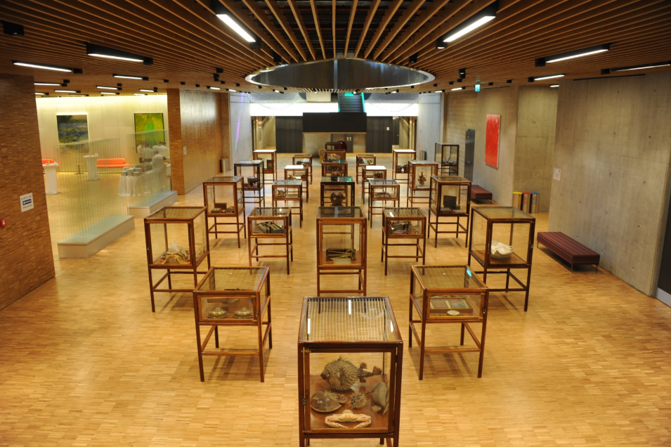 Piri Reis Üniversitesi Kampüs