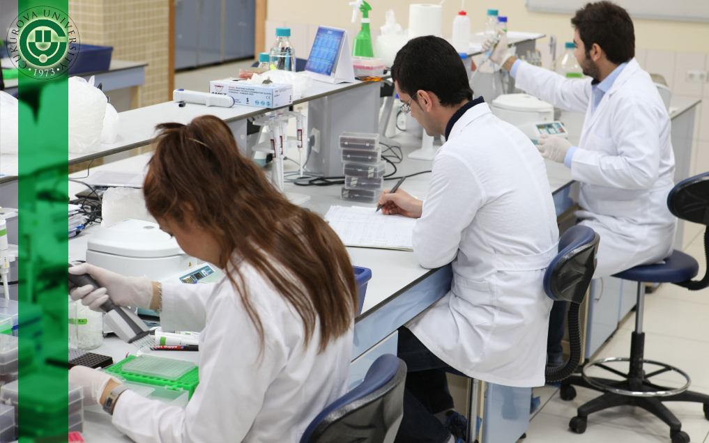 Çukurova Üniversitesi Kampüs
