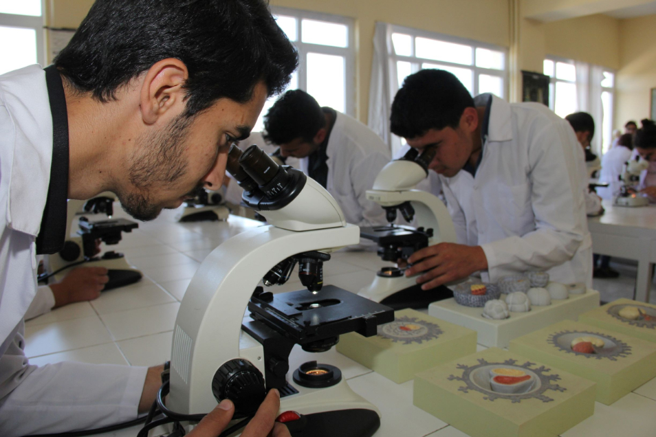 İnönü Üniversitesi Kampüs