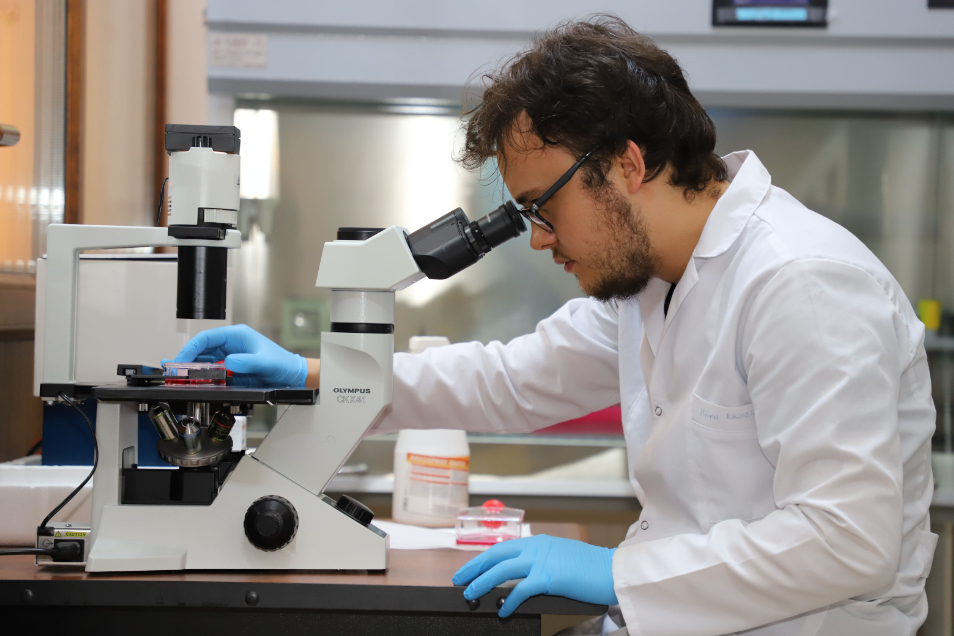 İstanbul Arel Üniversitesi Kampüs