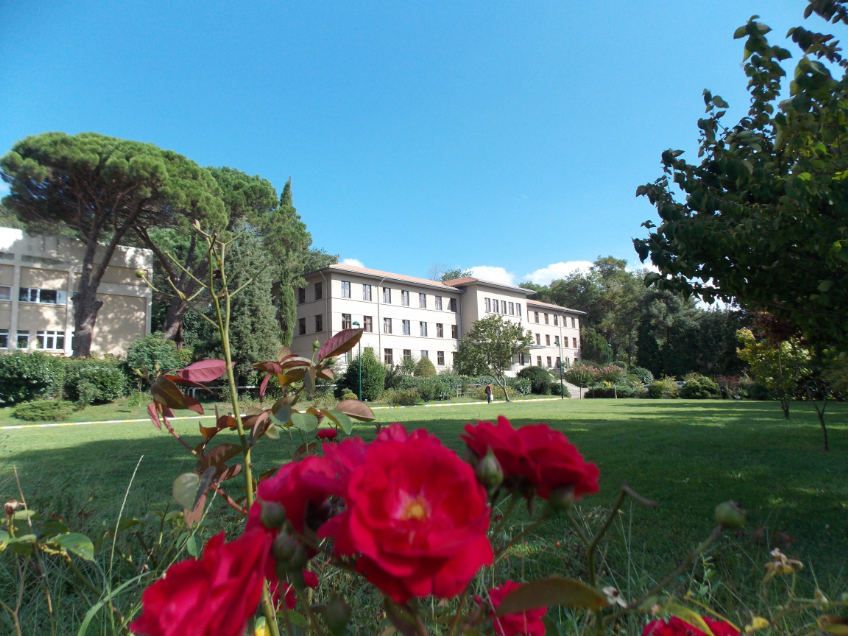 İstanbul Üniversitesi - Cerrahpaşa Kampüs