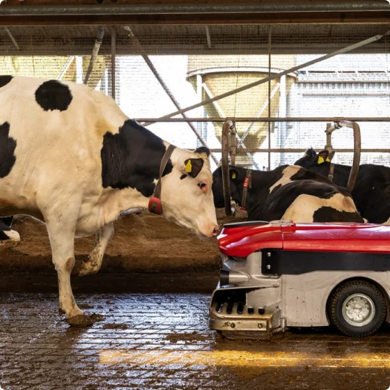Lely Center Konya Şirket Hayatı