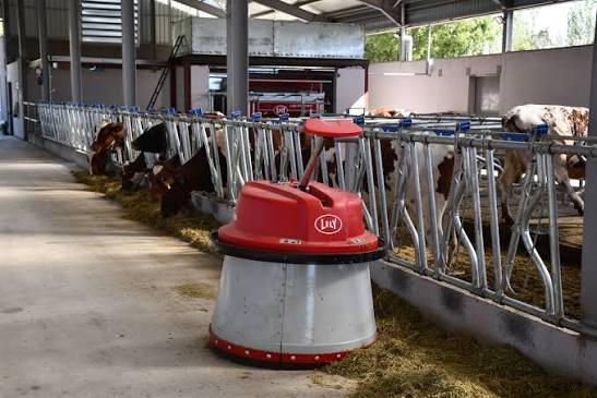 Lely Center Konya Şirket Hayatı