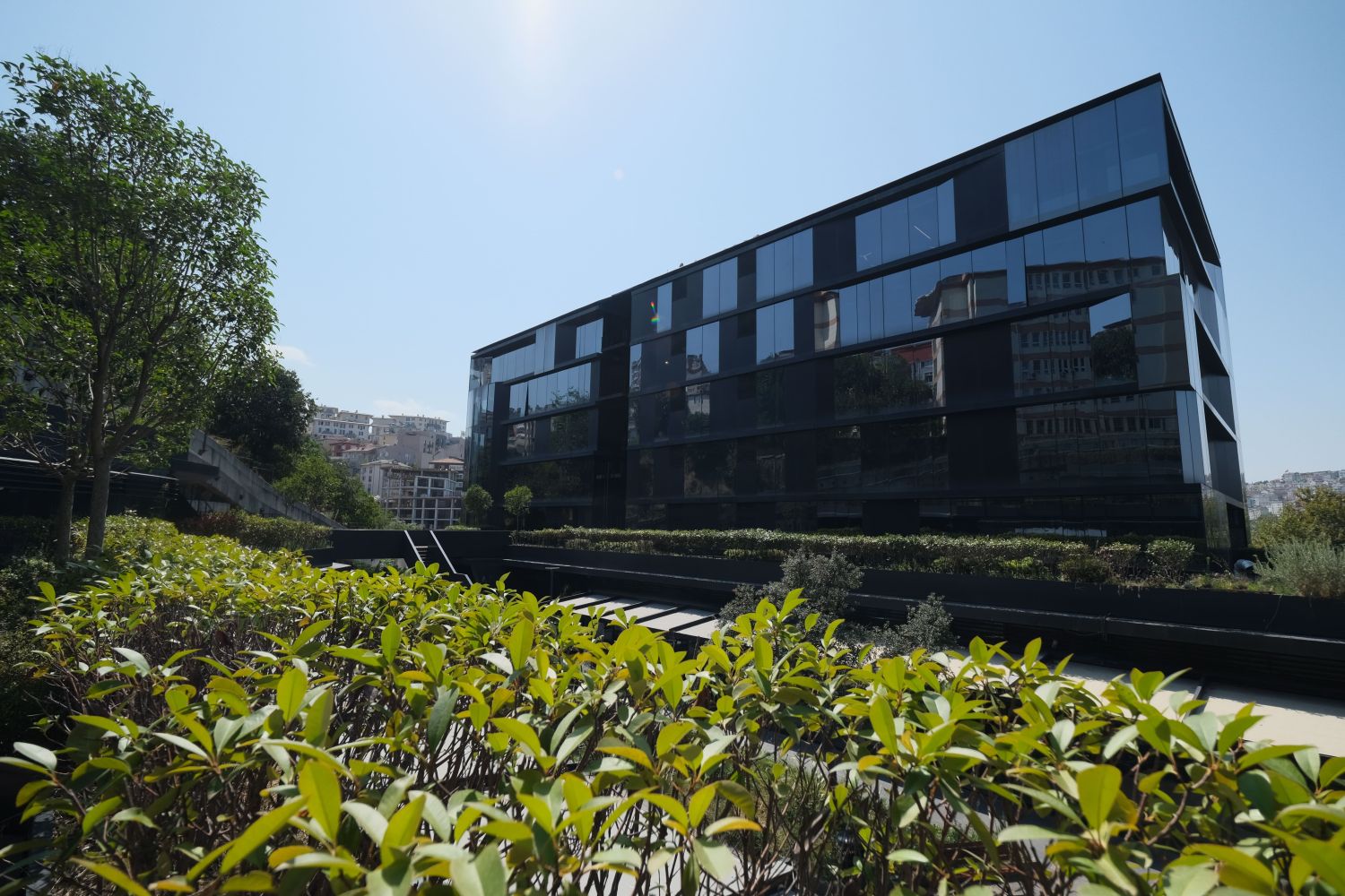 İstanbul Sağlık ve Teknoloji Üniversitesi Şirket Hayatı