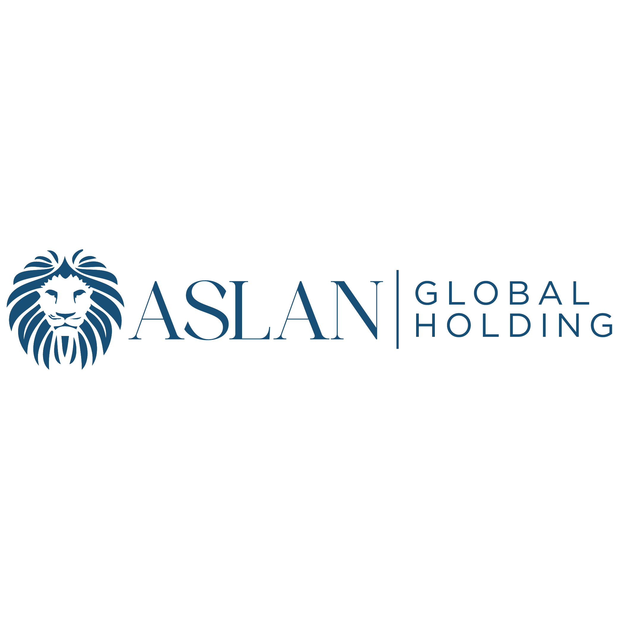 Aslan Global Holding Şirket Hayatı