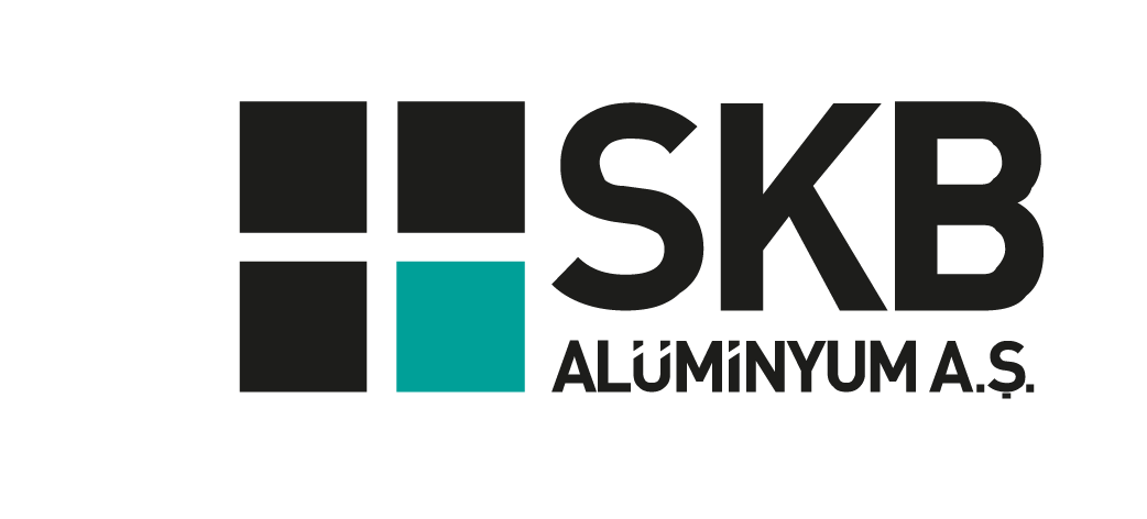 Aslan Global Holding Şirket Hayatı