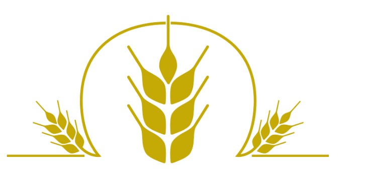 Kariyer Image