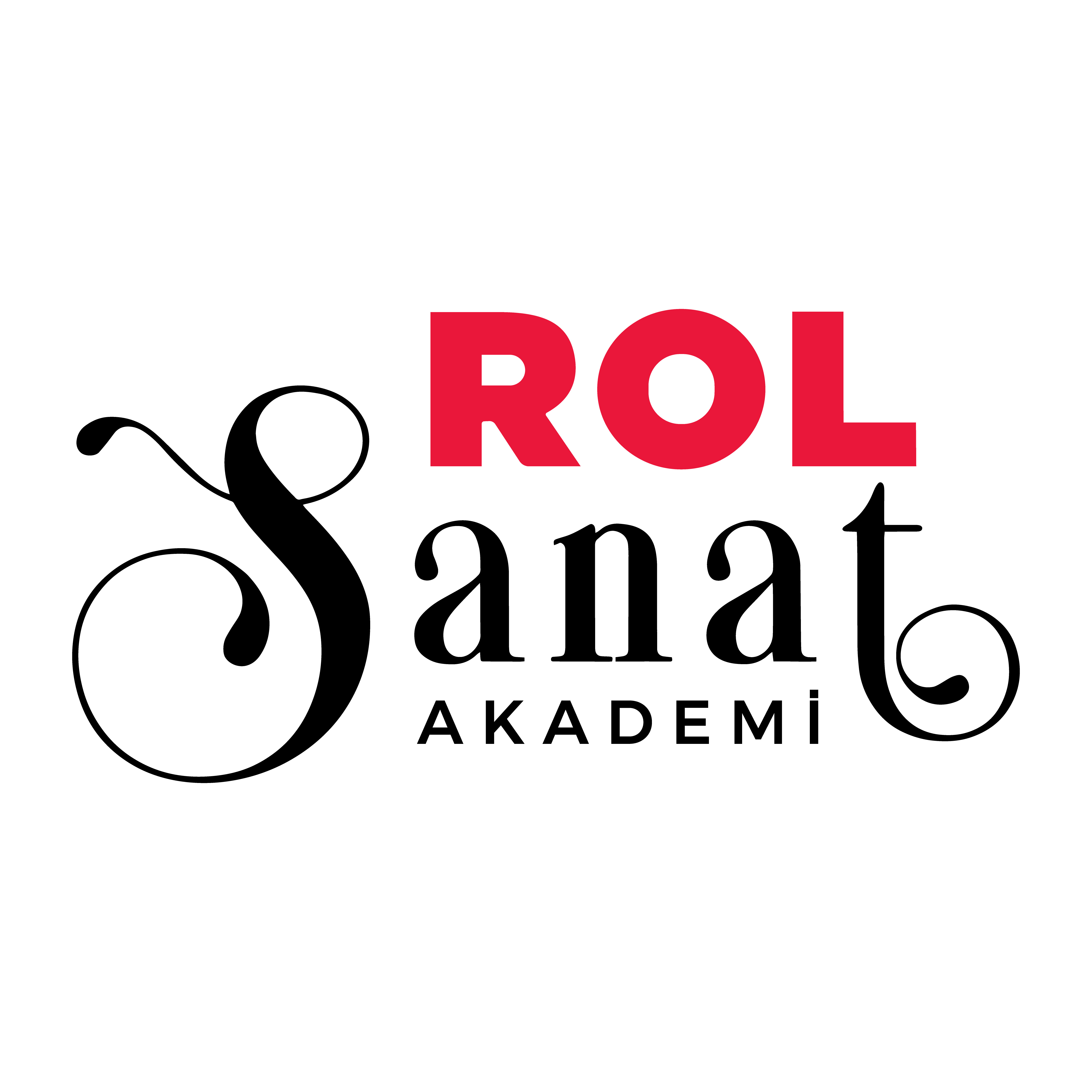 Rol Sanat Akademi Şirket Hayatı
