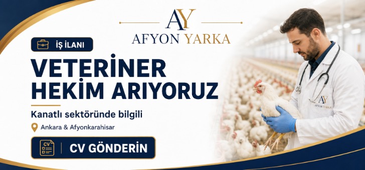 Kariyer Image