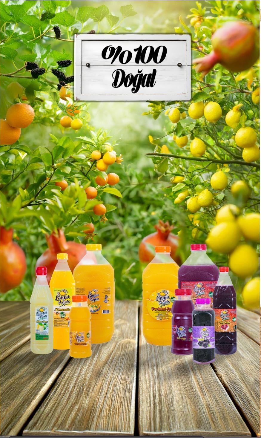 Limon Ağacı Pazarlama Gıda San Tic Ltd Şti Şirket Hayatı